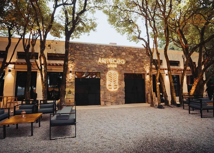 Hotel Altos de la Viña